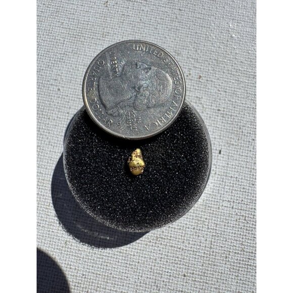 Gold Nugget - Grass Valley, California - 0.37 grams - Picture 6 of 6